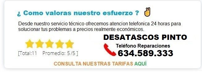 Desatascos Pinto Precios